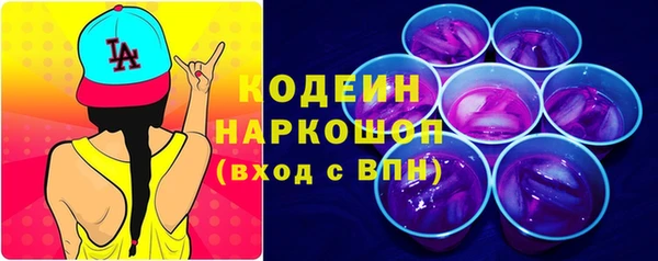прущие грибы Михайлов
