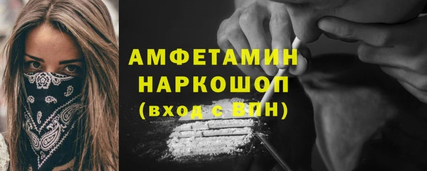 прущие грибы Михайлов