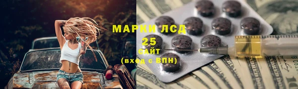 прущие грибы Михайлов
