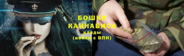 прущие грибы Михайлов
