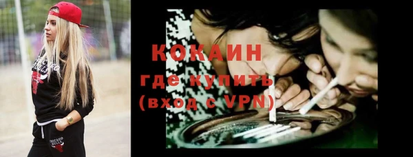 прущие грибы Михайлов