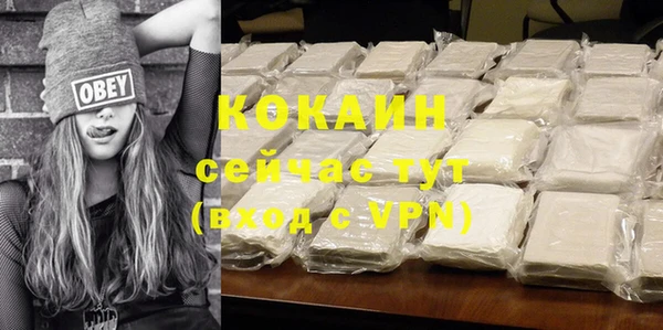 прущие грибы Михайлов