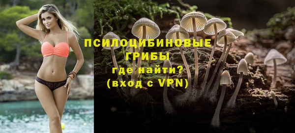 прущие грибы Михайлов