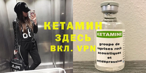 прущие грибы Михайлов