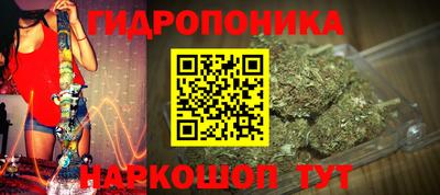 каннабис Гусиноозёрск