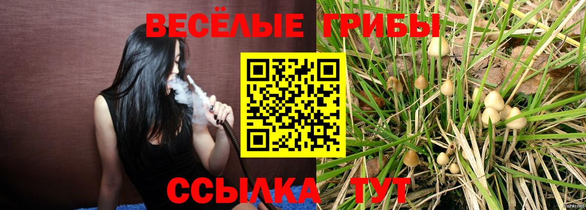 как найти   Псилоцибиновые грибы Magic Shrooms  Псилоцибиновые грибы MAGIC MUSHROOMS  Вход с VPN  Ухта 